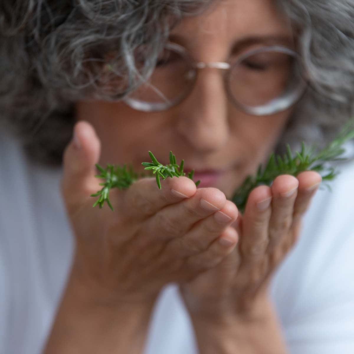 Elisabeth_koller_kraeuter